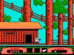 Fantastic Adventures of Dizzy