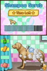 Animal Paradise (USA) (En,Fr,Es)