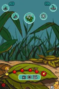 Bee Game, The (USA)