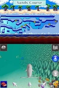 Discovery Kids - Dolphin Discovery (USA)