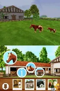 Discovery Kids - Pony Paradise (USA) (En,Fr,Es)