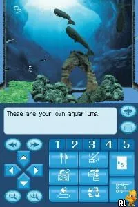 Fantasy Aquarium by DS (USA)