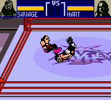 WCW Mayhem (USA, Europe)