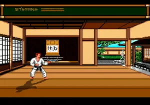 Budokan - The Martial Spirit (Europe)