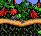 Donkey Kong Country (USA, Europe) (En,Fr,De,Es,It)