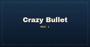 Crazy Bullet