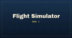 Flight Simulator
