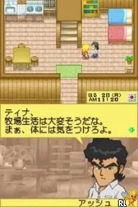 Ginga Tetsudou 999 DS (Japan)