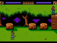 Lethal Weapon (Europe)
