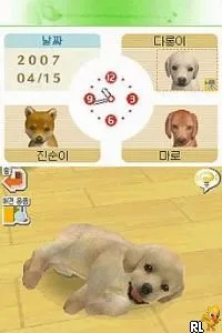 Nintendogs - Labrador & Chingudeul (Korea)