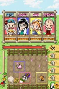 Puzzle de Harvest Moon (USA)