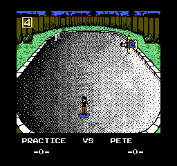 Skate or Die! (USA)
