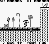 Zool (USA)